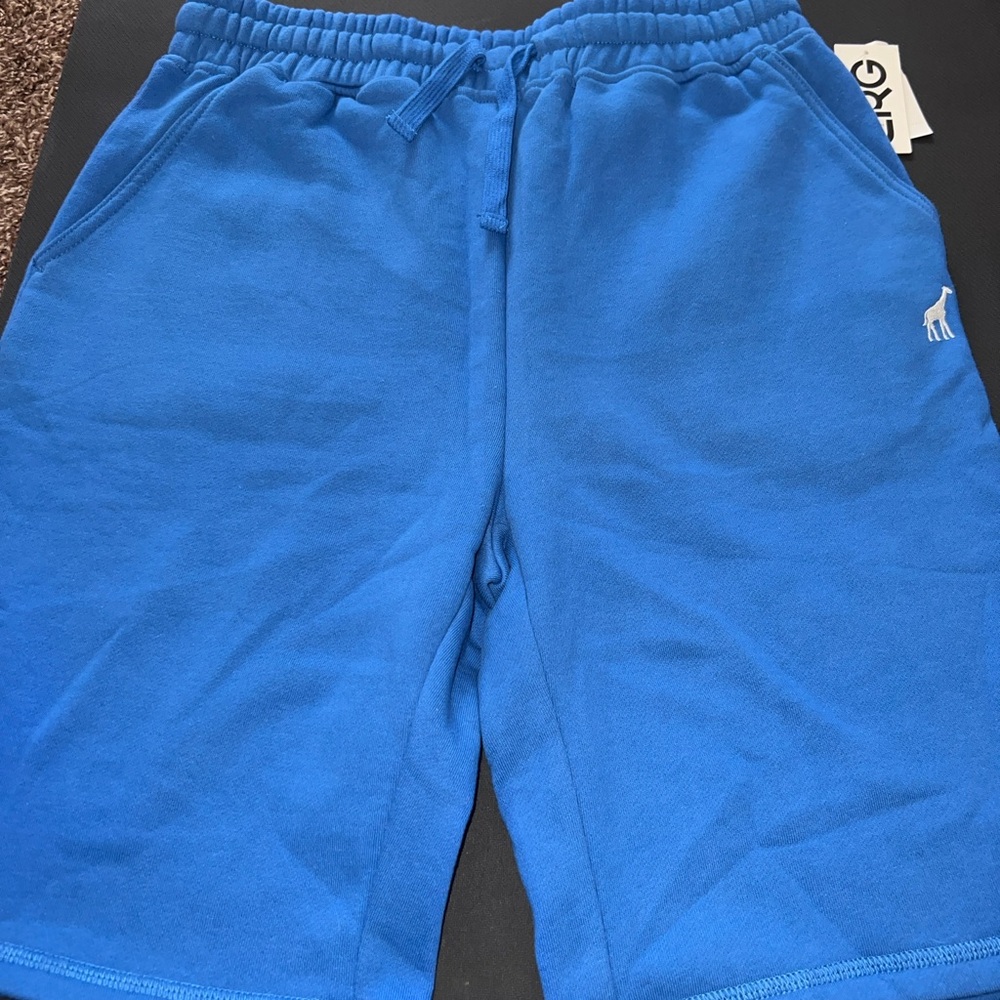LRG Vibrant Blue Shorts